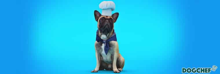code promo Dog-Chef