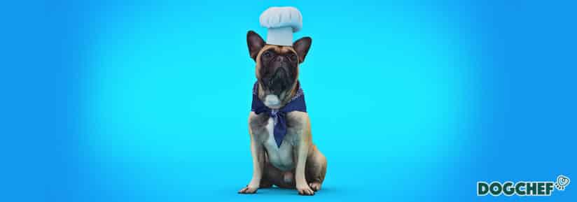 code promo Dog-Chef