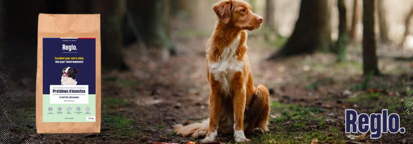 Code promo Reglo Pet food 25 de réduc en août 2021