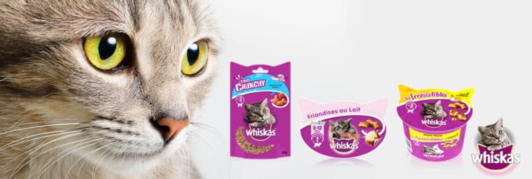 friandise whiskas pour chat