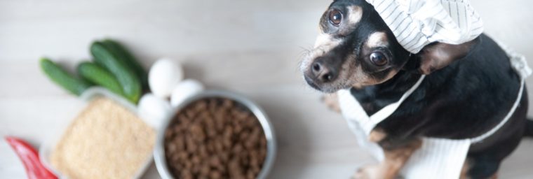 difference entre croquette et ration menagere chien