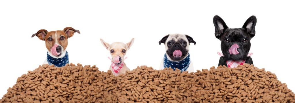 Où acheter ses croquettes pour chien Conseilsanimaux.fr