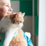 Prix consultation vétérinaire chat