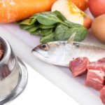 compléments alimentaires pour chien compatibles avec le régime BARF