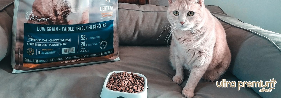 Choisir la meilleure litière pour son chat : nos conseils – Ziggy
