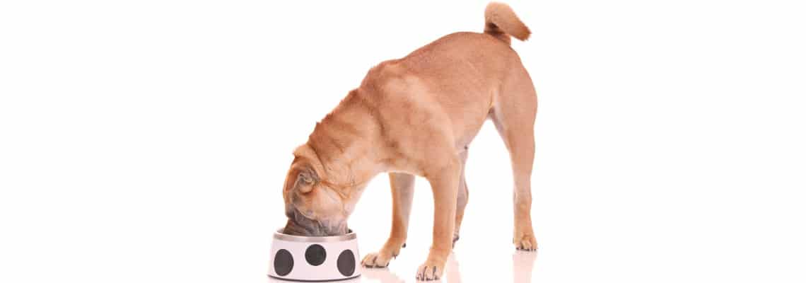 Croquettes pour Shar Pei