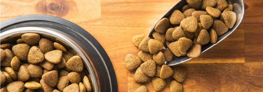 Meilleures Croquettes Pour Chien Sans Glucides De 2024