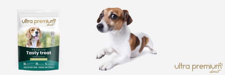 Ultra Premium Direct pour Jack russell