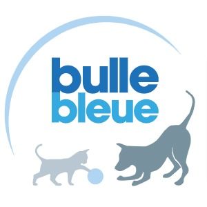 bulle bleue logo