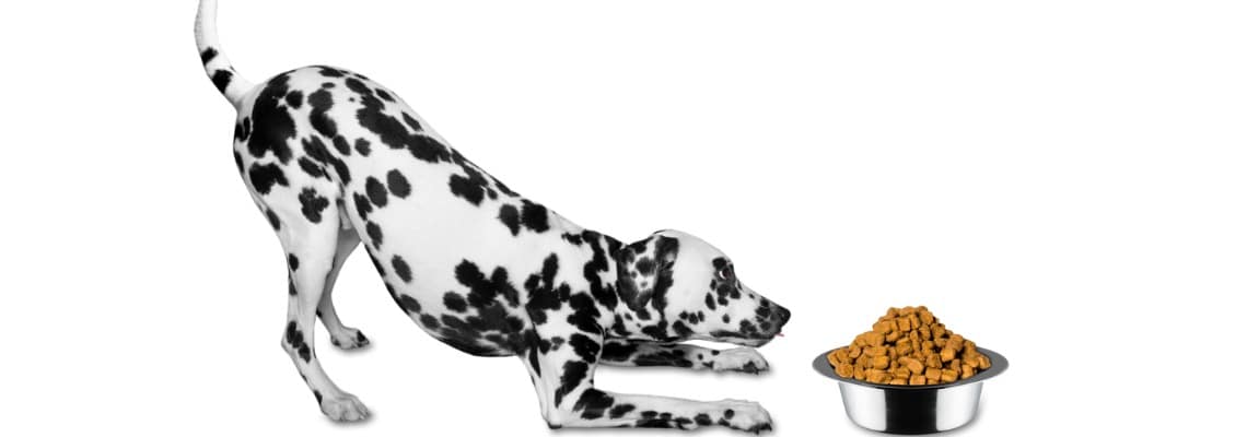 alimentation Dalmatien