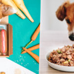 Dogfy Diet ou dog chef