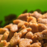 Croquettes pour chien au saumon sans céréales