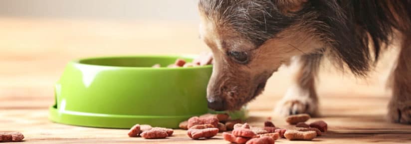 Croquettes pour chien sénior sans céréales