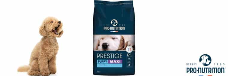 pro-nutrition prestige puppy maxi