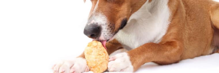 Fromage de yak pour chien