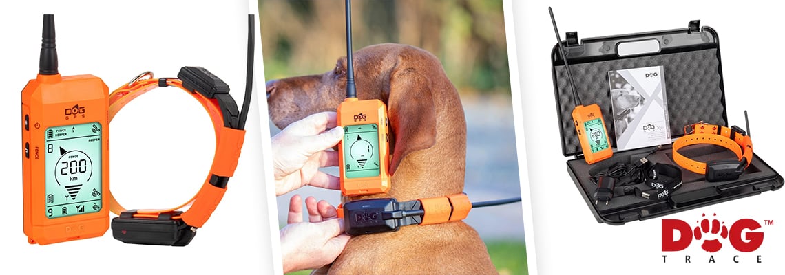 DOG-TRACKER-V2 - Collier traceur GPS temps reel sans abonnement pour animaux
