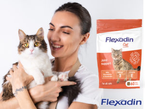 Flexadin pour chat avis
