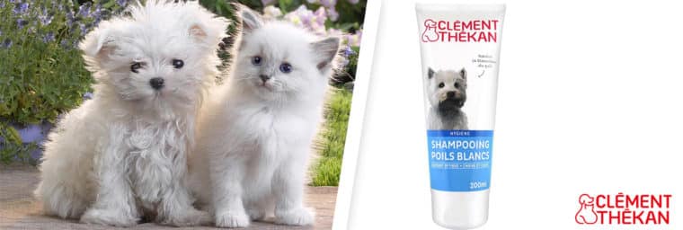 Thekan - Shampoing poils blancs chiens et chats