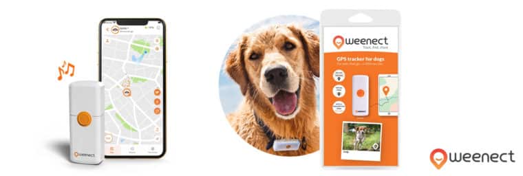 Collier GPS pour chien : comparatif et guide d'achat