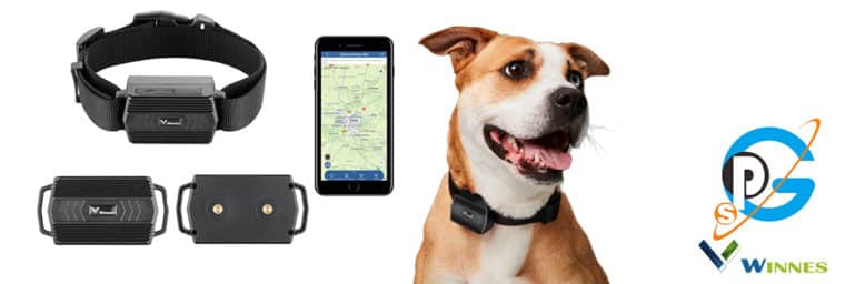 Traceur GPS pour chiens - Localisation en direct via SMS/APP