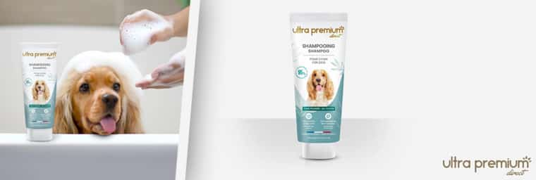 Ultra Premium Direct shampoing chien