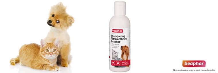 Beaphar - shampoing anti-puces pour chiens et chats