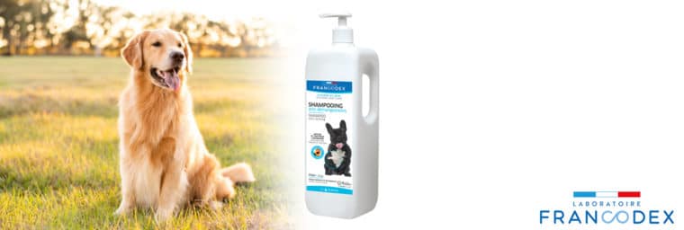 Francodex : shampoing anti-démangeaisons pour chien