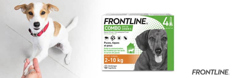 Frontline - pipette chien