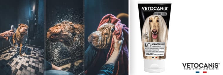Vetocanis : Shampoing professionnel anti-démangeaisons pour chien