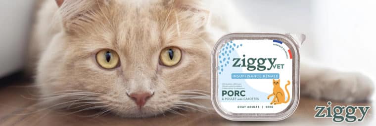 Ziggy - Pâtée vet pour chat en insuffisance rénale