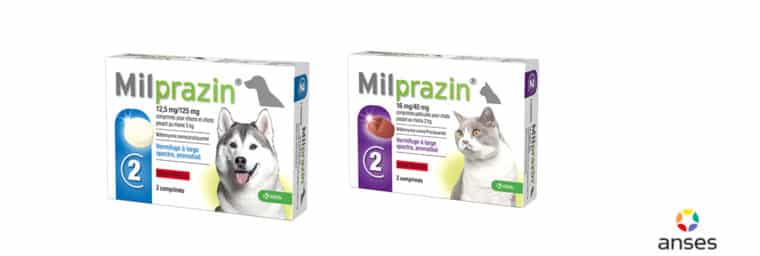 KRKA – Milprazon Vermifuge pour chat (2-8 kg)