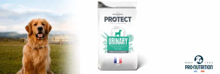 Pro-Nutrition - Protect Chien Urinary