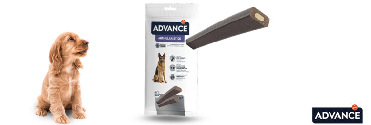 Advance - Articular Stick pour chien