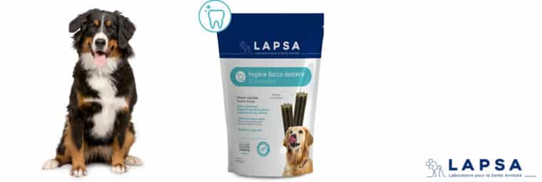 Lapsa — Sticks bucco-dentaires pour chien