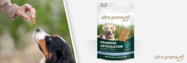 Ultra Premium Direct - Friandise articulation pour chien