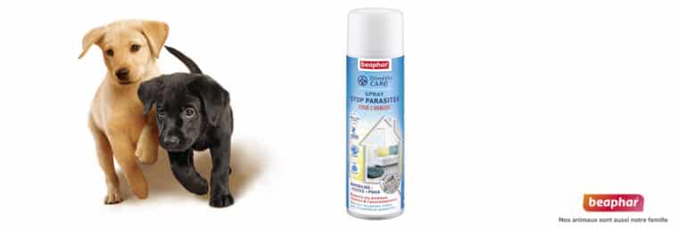 Beaphar - Dimethicare Spray pour chiens et chats