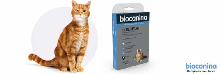 Biocanina - Pipettes Insectifuge naturel