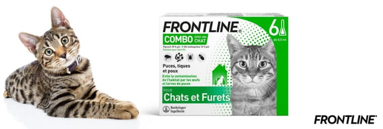 Frontline - Combo Chat Pipettes anti-puces et anti-tiques