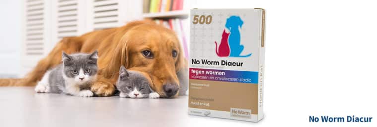 No Worm - Diacur 500 pour chien et chat