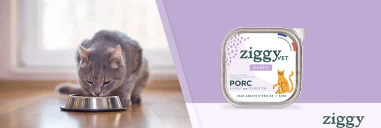 Ziggy - Pâtée chat adulte Diabète