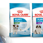 Royal Canin chiot Avis