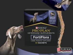 Avis sur Fortiflora pour chien