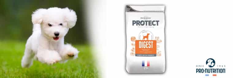 Pro-Nutrition - PROTECT Chien Digest