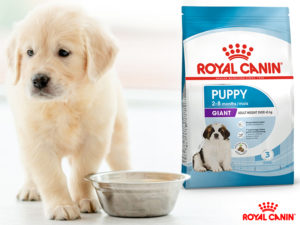 Avis sur Royal Canin pour chiot