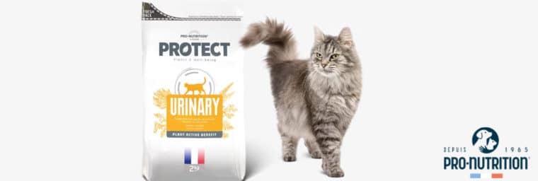 Protect Chat Urinary