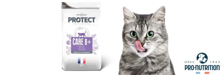 Pro-Nutrition – Protect Chat Care 8+