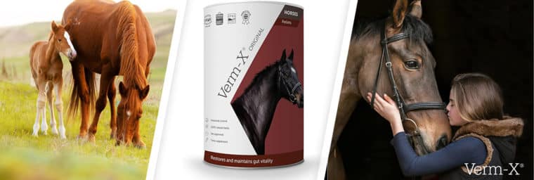 Verm-X granulés pour chevaux
