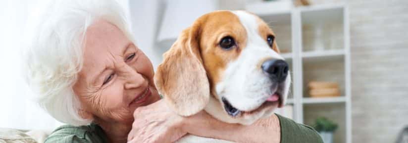 Chien pour personne âgée