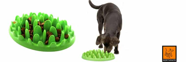 Gamelle anti-glouton NORTHMATE® Green Feeder pour chien