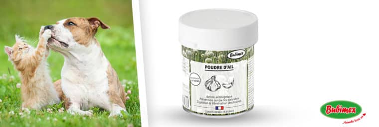 Bubimex - Poudre d'Ail Complément Alimentaire 100% Naturel pour Chiens et Chats